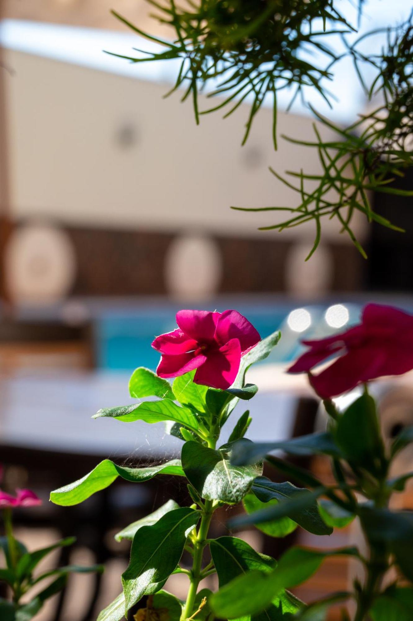 365 Hotel 3*
